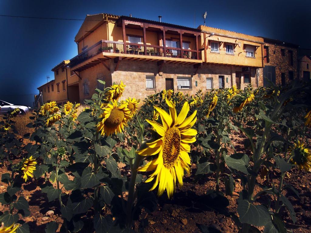Casa de 5 dormitorios